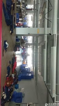 横岗窝肚新区500平服装厂转让与技术升级机遇